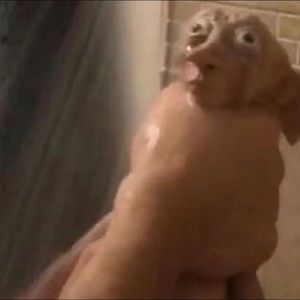 Meet your Posher, Kaiden